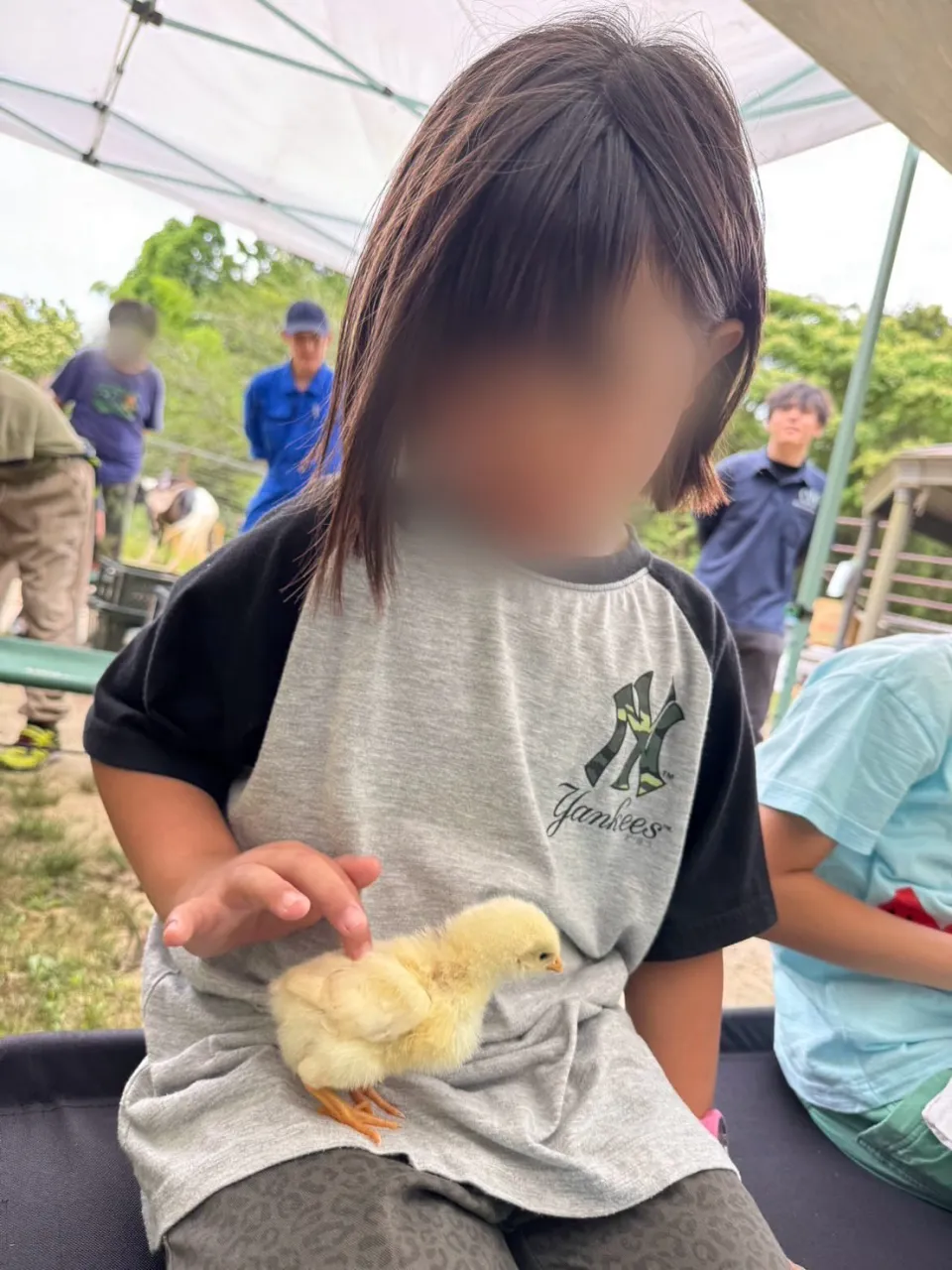 こんにちは😊