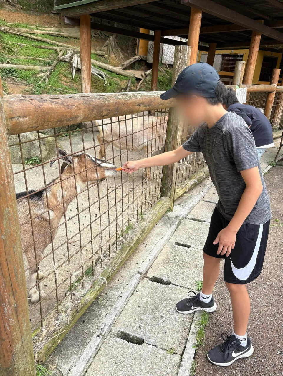こんにちは😊